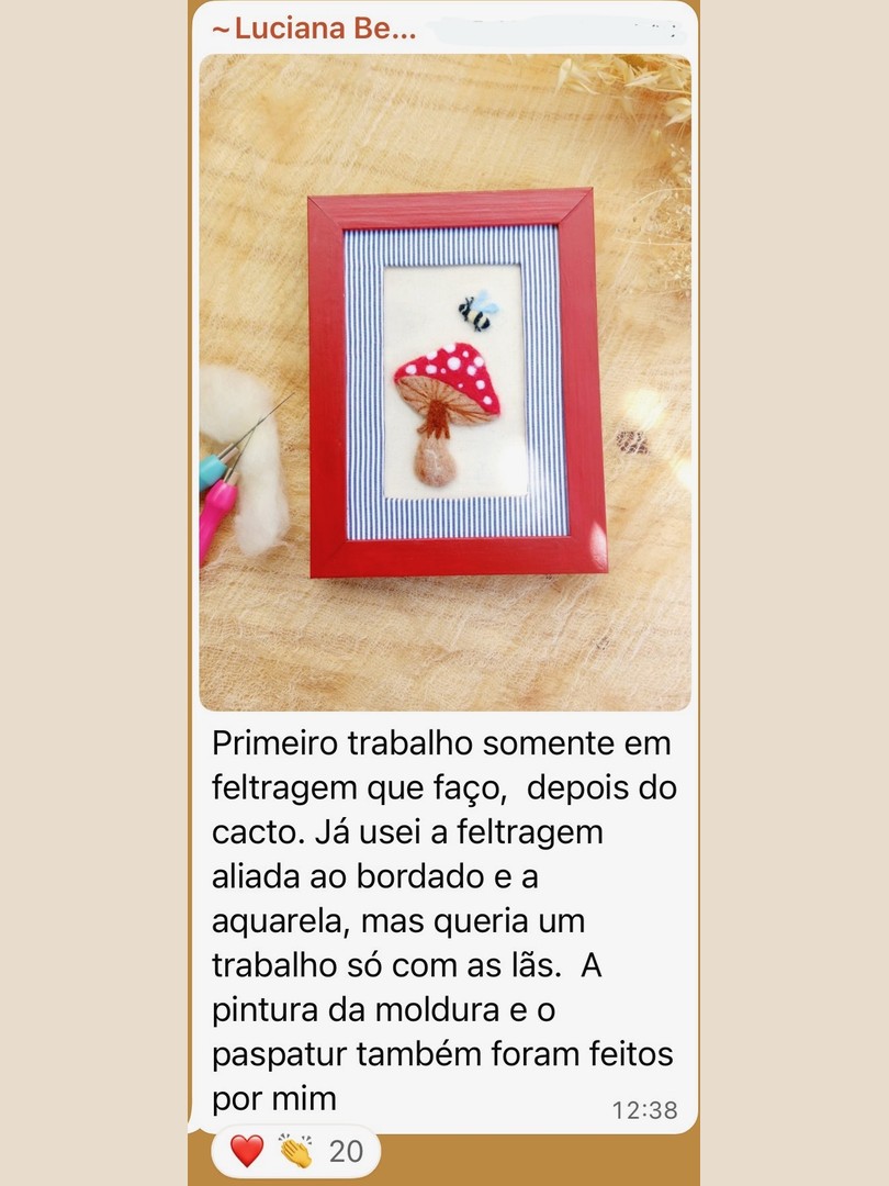 Depoimento da Luciana mostrando trabalho em feltragem com moldura