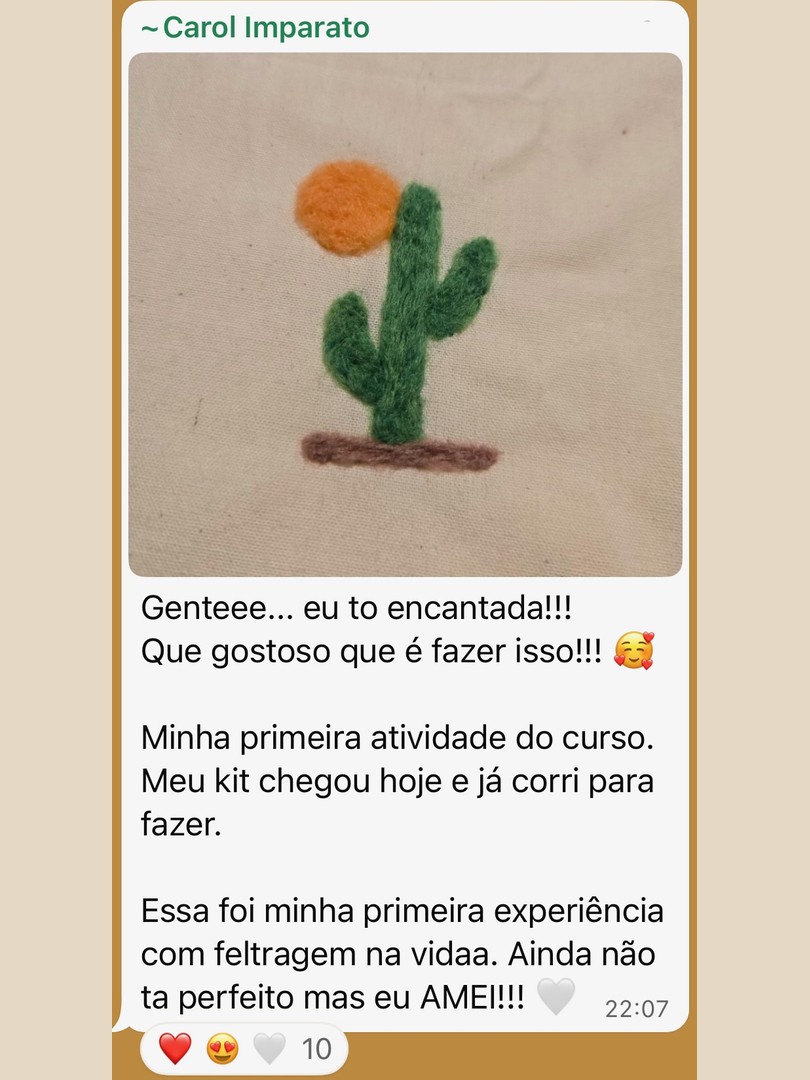 Depoimento da Carol Imparato sobre a primeira atividade de feltragem
